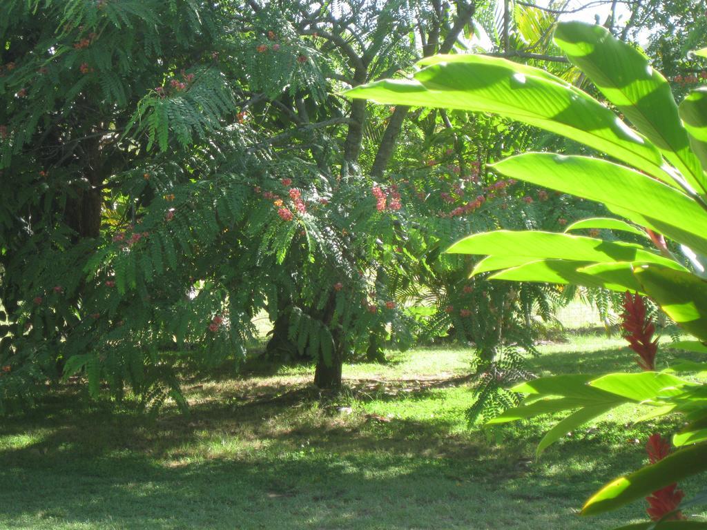 Magnetic Island Bed And Breakfast Horseshoe Bay Exterior photo
