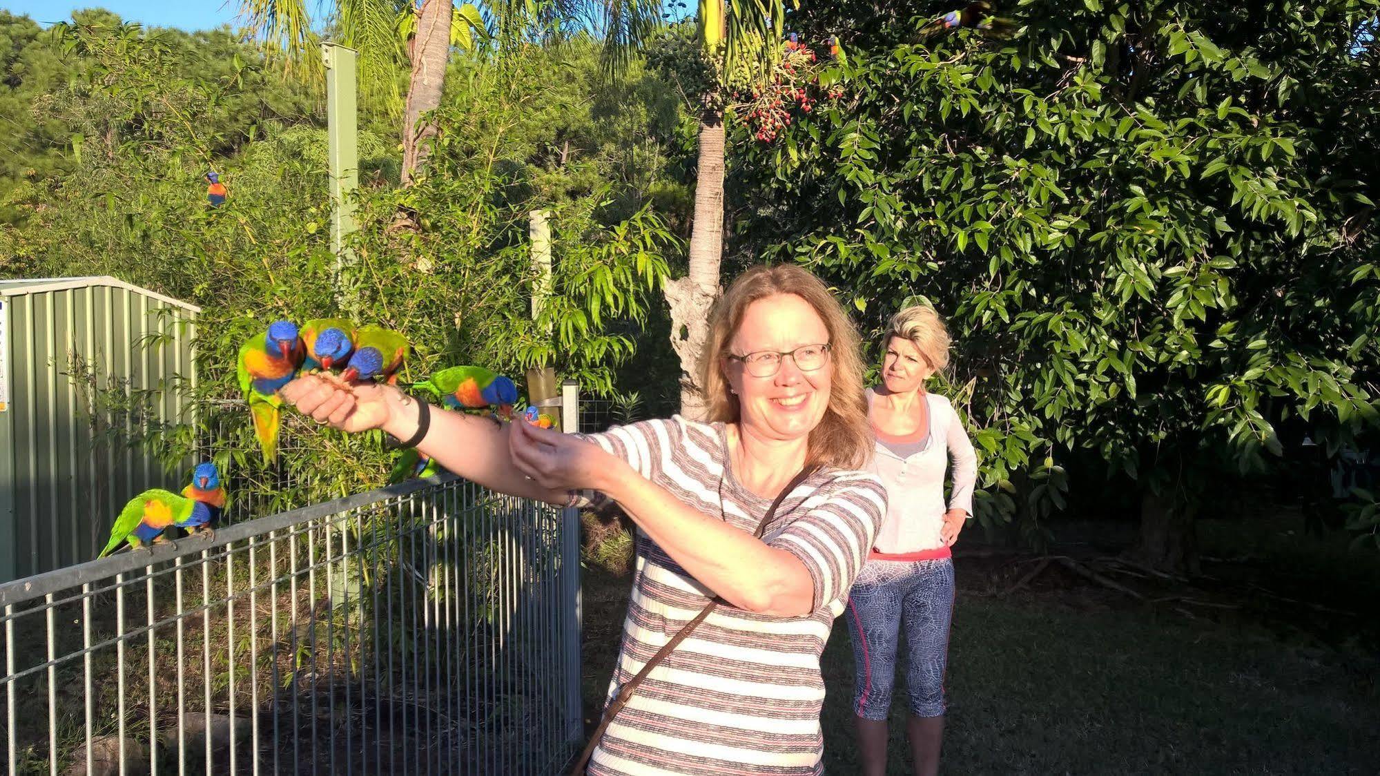 Magnetic Island Bed And Breakfast Horseshoe Bay Exterior photo
